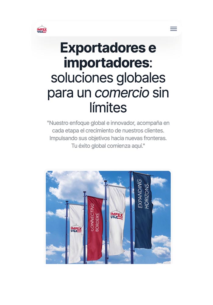 MobSkanisus Agencia Desarrollo Diseño Web Responsivo Ux